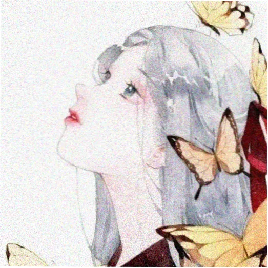 读者猫在屋顶头像